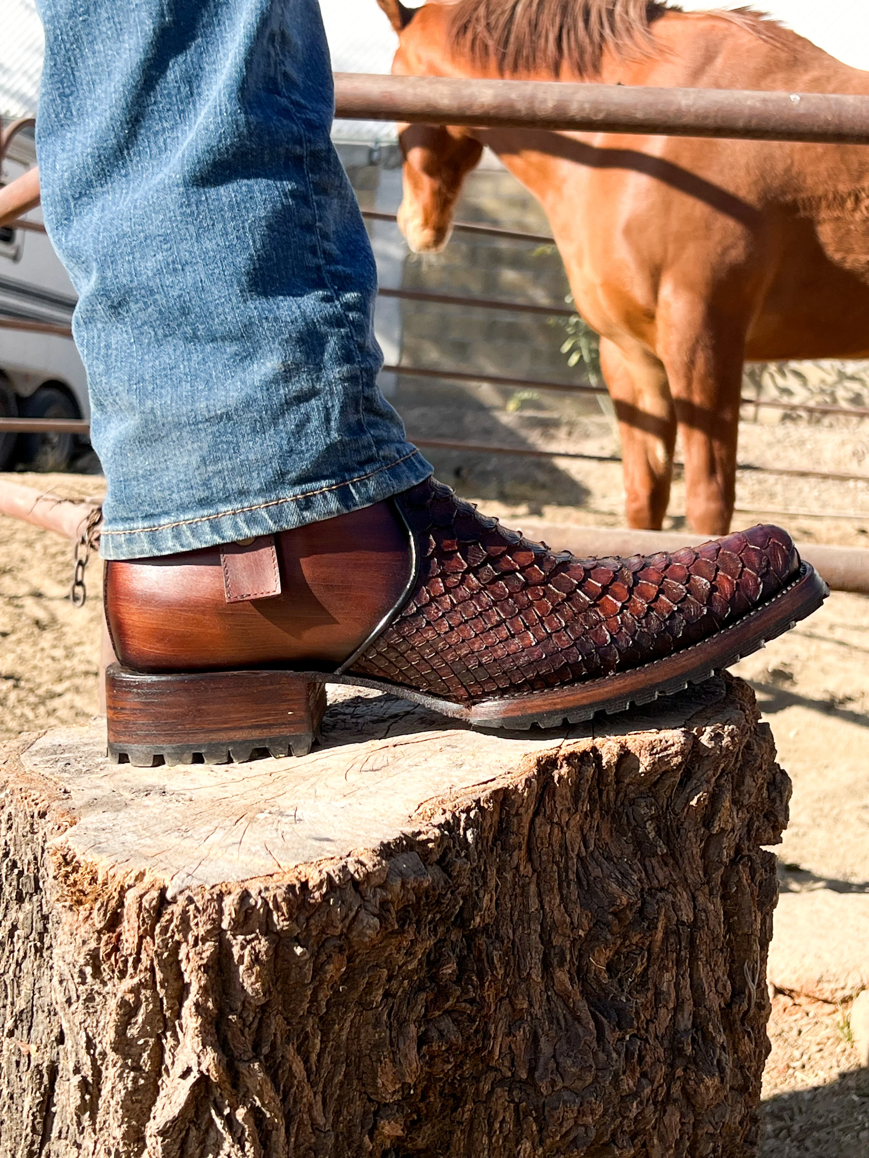 Imagen del producto 9